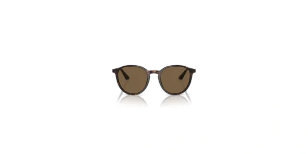 SOLAR GIORGIO ARMANI AR8196 5026/73 51 19 145 02