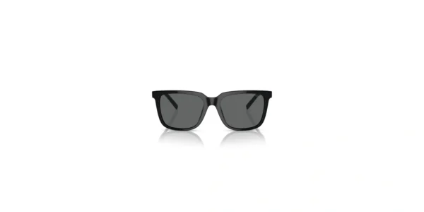 SOLAR GIORGIO ARMANI AR8202U 5875/87 55 18 145 02
