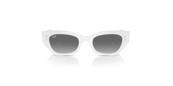 SOLAR RAY BAN RB4430 675911 52 22 145 02